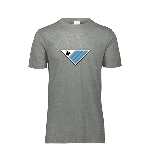 [FTSCUBGY-AS-LOGO2] Men's Ultra-blend T-Shirt (Adult S, Gray, Logo 2)