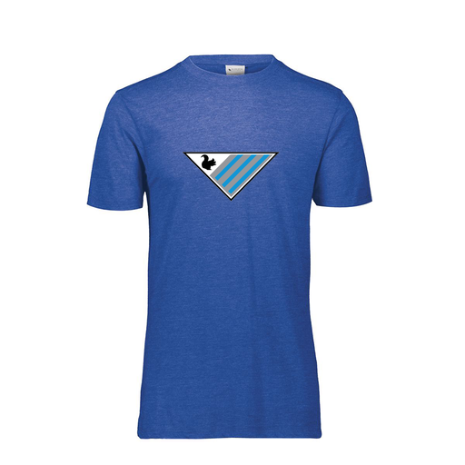 [FTSCUBRY-YS-LOGO2] Decker Youth Tri-Blend T-Shirt - Short Sleeve (Youth S, Royal, Logo 2)
