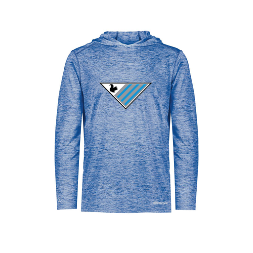 [FOLHCGRY-AS-LOGO2] Decker Men's Charge Hoodie (Adult S, Royal, Logo 2)